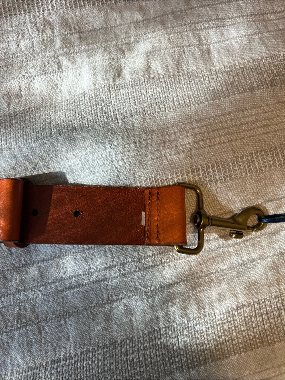Parker Thatch: Adjustable Wide Leather Strap - Cognac NWT! - Picture 8 of 13